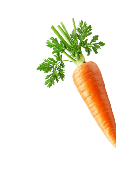 Decorative carrot